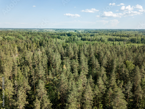 drone image. aerial view of rural area with fields and forests