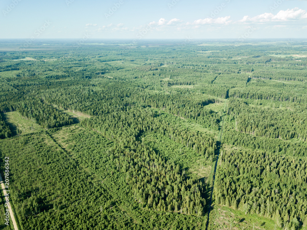 drone image. aerial view of rural area with fields and forests drone image. aerial view of rural area with fields and forests
