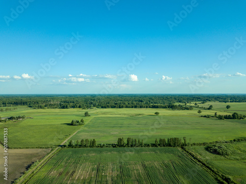 drone image. aerial view of countryside road network, cultivated fields and forest textures