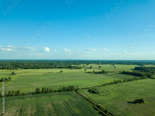 drone image. aerial view of empty cultivated fields