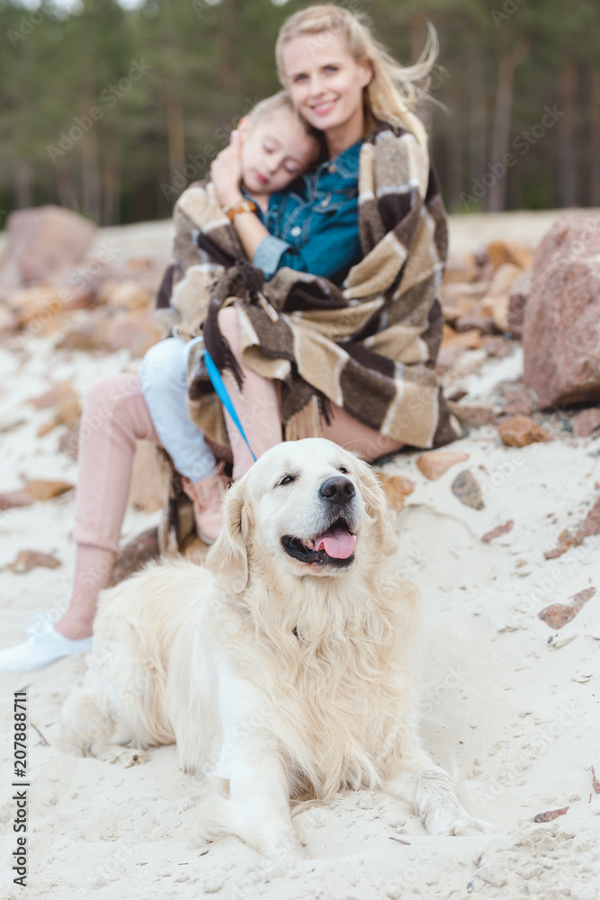 selective focus of mother and sleeping daughter with golden retriever dog on shore selective focus of mother and sleeping daughter with golden retriever dog on shore
