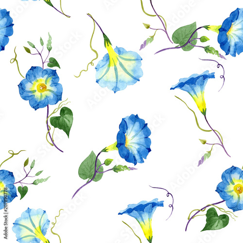 Ipomoea blue. Floral botanical flower. Seamless background pattern. Fabric wallpaper print texture.. Aquarelle wildflower for background  texture  wrapper pattern  frame or border.