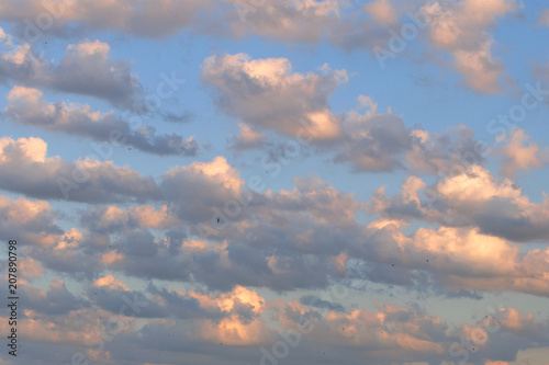 Twilight sunset sky, background with multicolored clouds. And small birds fly among the clouds.