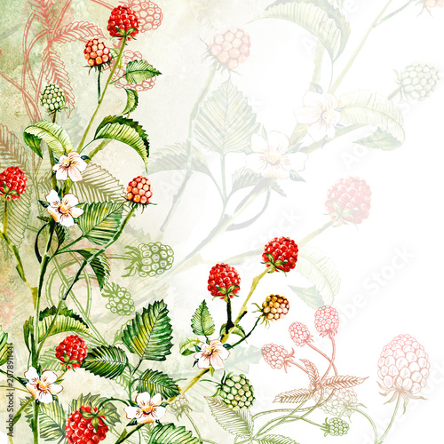 Composition of raspberry berries. Watercolor drawing handmade. Template, frame.