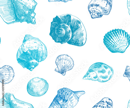 Seashells seamless pattern for your ocean life design. Elegant sea shells background. Summer template collection  illustaration