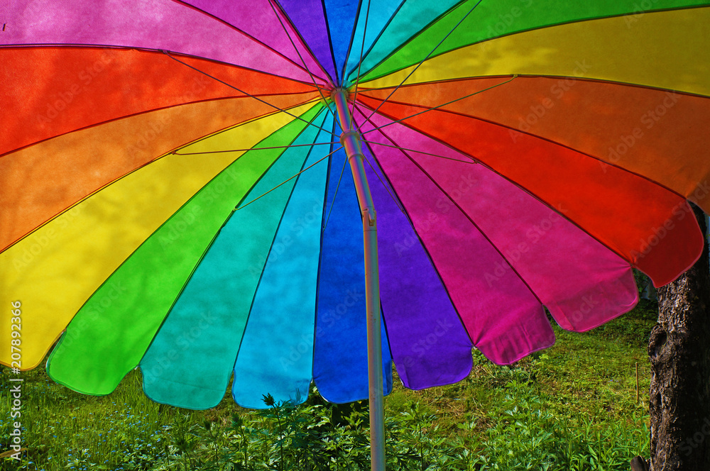 Rainbow umbrella in grass field.