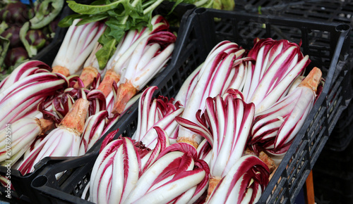 stall with late radicchio on sale at the market photo