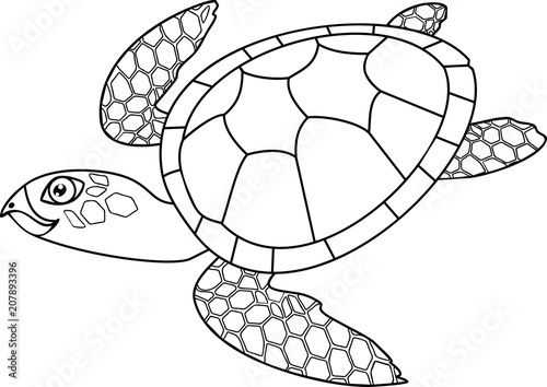 Coloring page. Adult cute cartoon swimming sea turtle