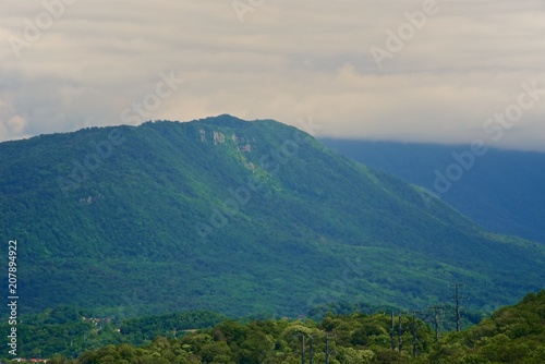 Panorama of a large valley between mountains covered with forest. Sunny day. Beautiful cumulus clouds over the tops of mountains against a blue sky.