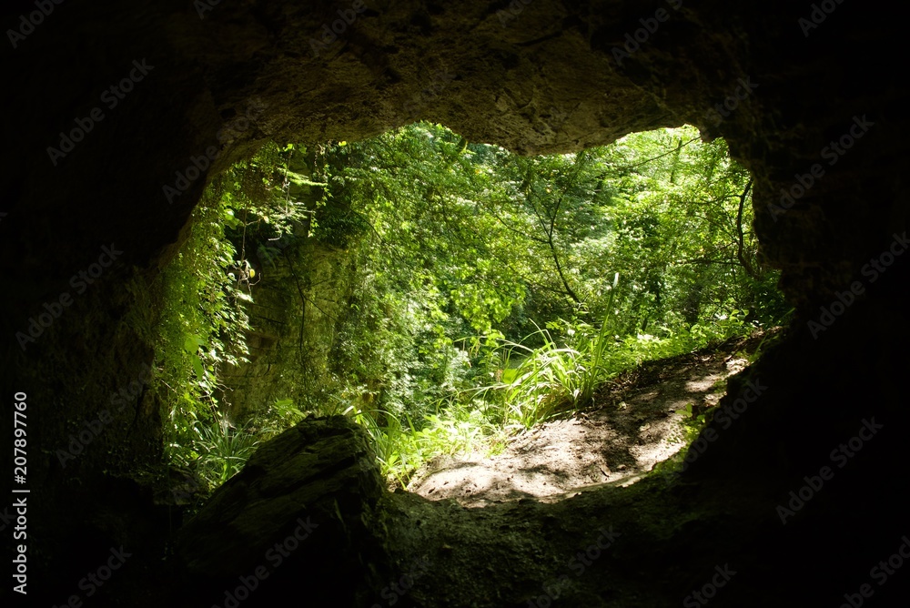 Exit from small cave. Forest in the background. Exit from small cave. Forest in the background.