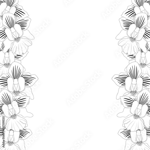 Fototapeta Naklejka Na Ścianę i Meble -  Vanda Miss Joaquim Orchid Outline Border