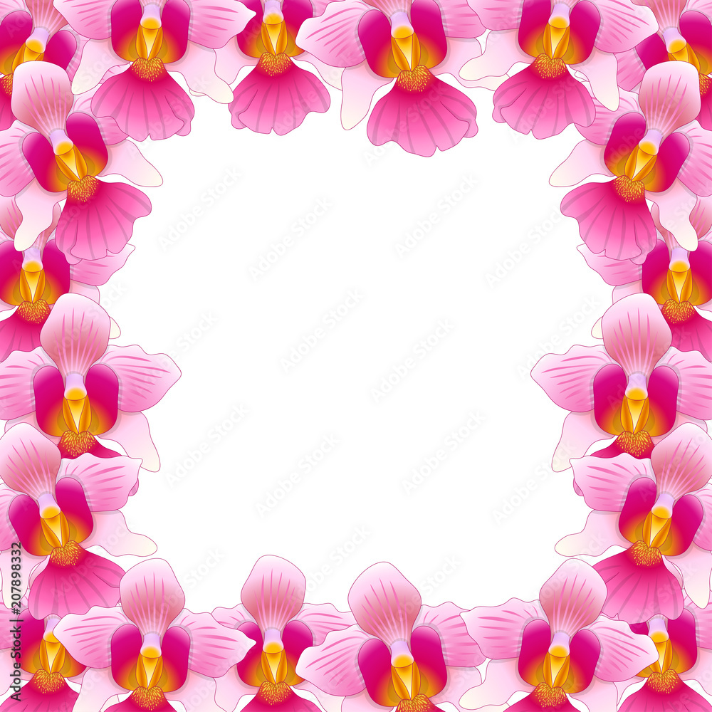 Pink Vanda Miss Joaquim Orchid Border Pink Vanda Miss Joaquim Orchid Border