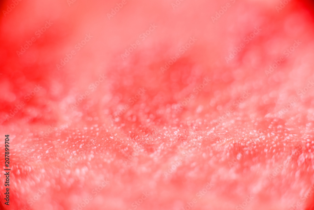 Slices of fresh juicy seedless red watermelon ideal for summer heat