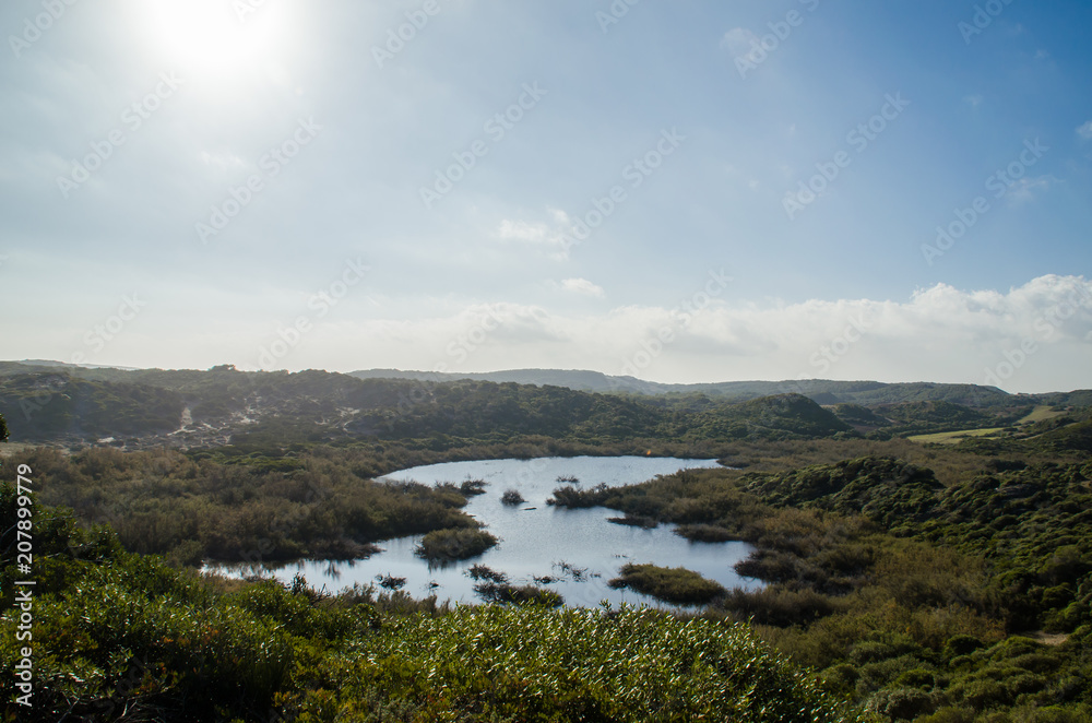 Landscape photograph of a pond near a beach in Menorca surrounded by plants showing their beautiful nature.