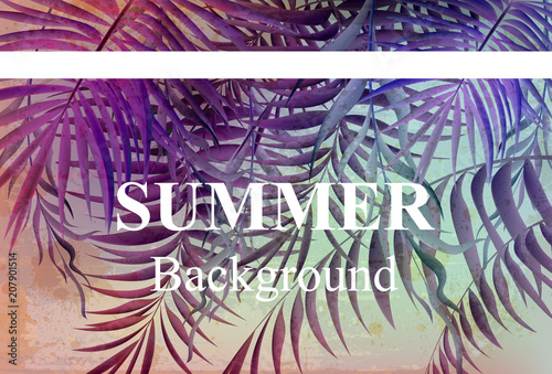Vintage Summer travel card Vector. Palm trees tropic backgrounds