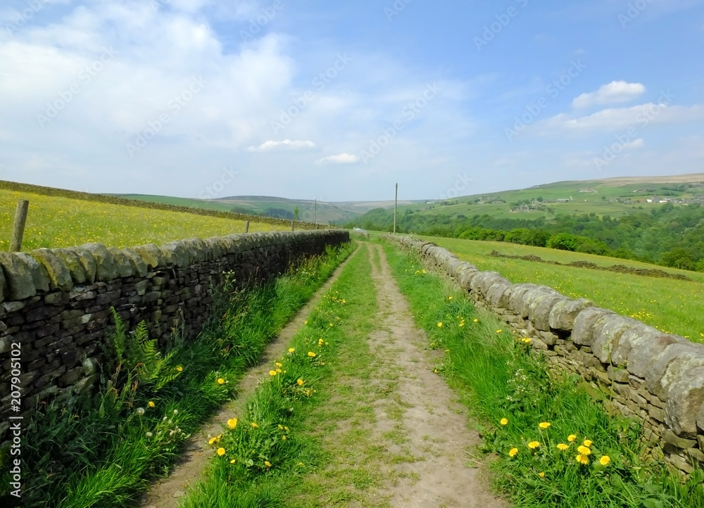 long straight country lane with dry stone walls surrounded by green pasture with wildflowers in beautiful early summer sunlight with blue sky and clouds with pennine hills visible in the distance