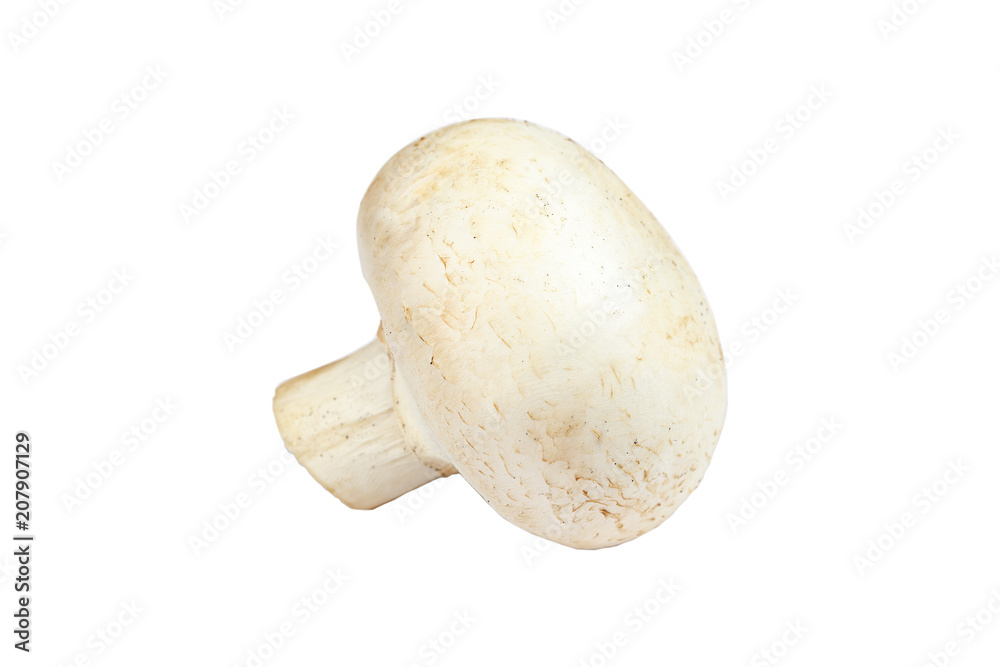 Fresh mushrooms champignons on white background. Fresh mushrooms champignons on white background.