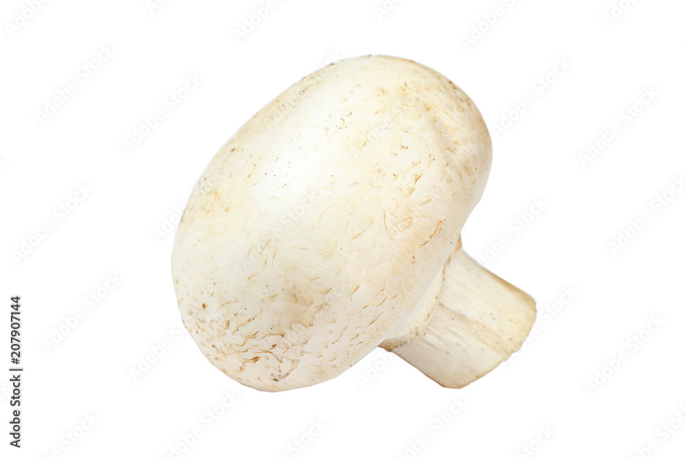 Fresh mushrooms champignons on white background. Fresh mushrooms champignons on white background.
