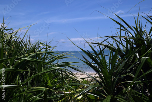 Beautiful sea in Okinawa Japan.