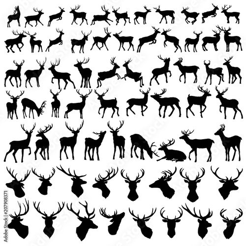 vector large collection of deer silhouettes