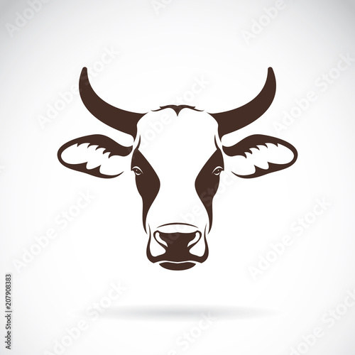 Vector of a cow head design on white background. Farm Animal. Easy editable layered vector illustration.