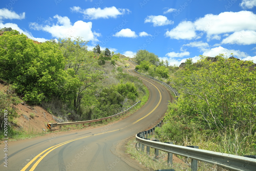Hawaii Road to Hana Maui