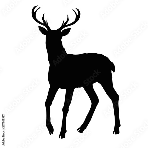 deer silhouette, vector, illustration