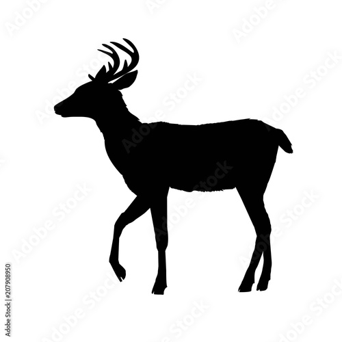 deer silhouette  vector  illustration