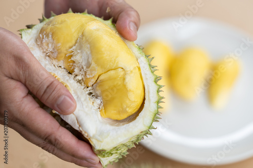 The hands are durian peels, durian yellow meat, eat very fresh. Handle durian show the yellow durian meat to eat. Tropical seasonal fruit, king of fruit from Thailand.