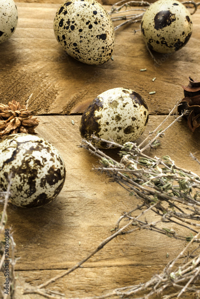 Quail eggs with wooden background Quail eggs with wooden background