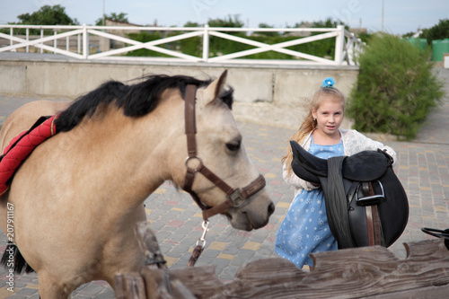 little girl cleans and combs her pony and saddles him