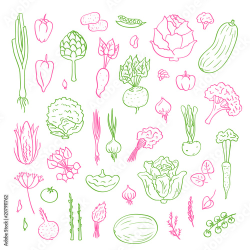 Vector hand drawn doodle vegetables icons set illustration