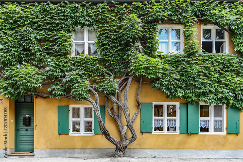 Wilder Wein in der Fuggerei photo