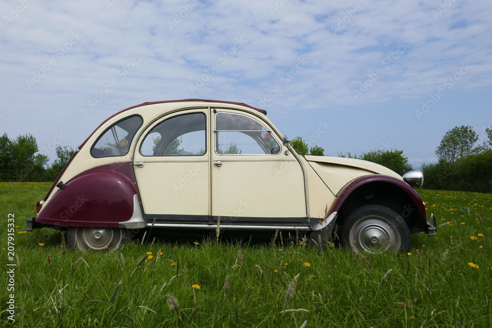 Oldtimer, altes französisches Auto auf einer grünen Wiese,  genannt 