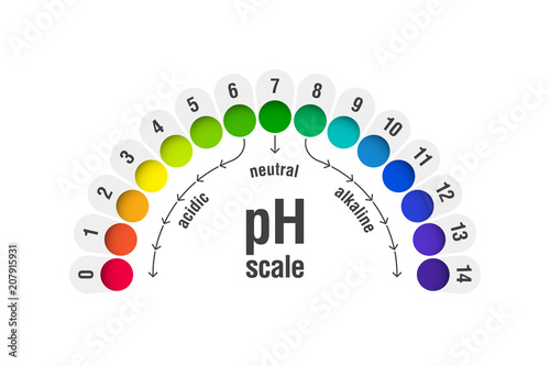 pH value scale chart for acid and alkaline solutions, acid-base balance infographic