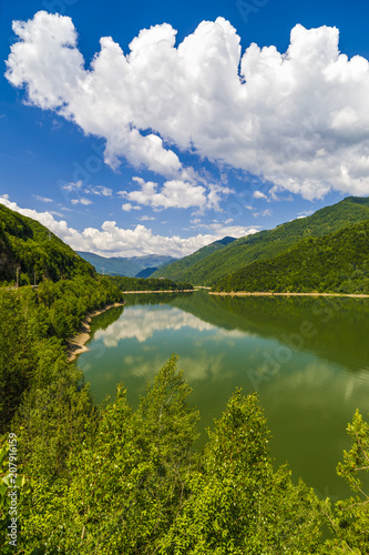 Landscape with Olt river in Romania surrounded by forest and mountains