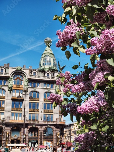 The dome of the building Zinger under a branch of lilac flowers in St. Petersburg
