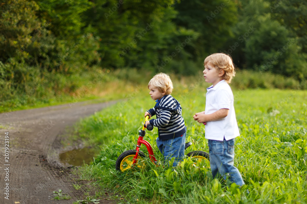 Two little brother boys playing near forest on summer evening. Cute siblings playing together. Two little brother boys playing near forest on summer evening. Cute siblings playing together.