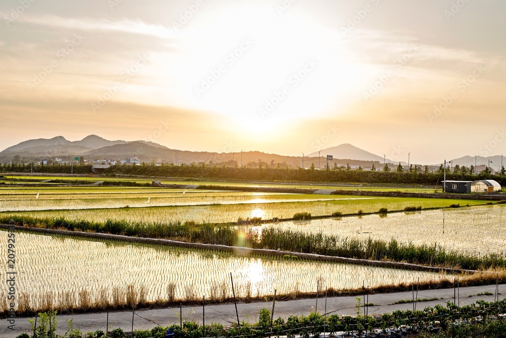 A splendid sunset from the country A splendid sunset from the country