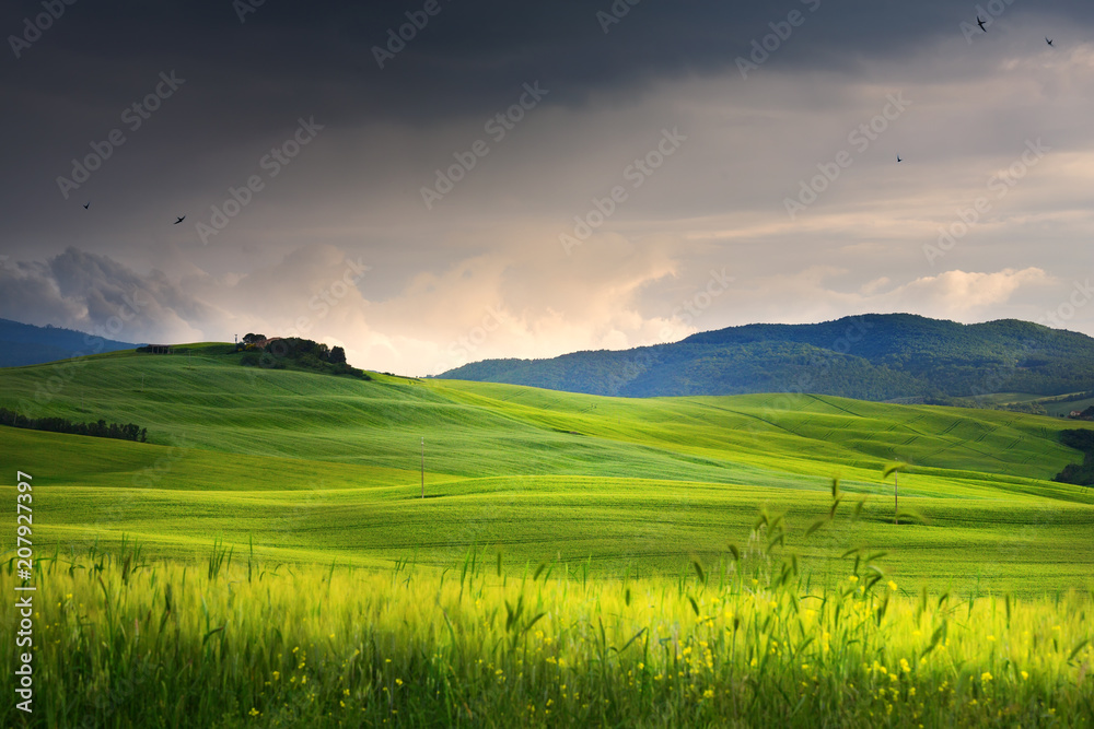 village in tuscany; Italy countryside landscape with Tuscany rolling hills ; sunset over the farm land