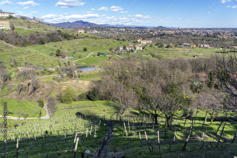 Spring landscape near Montevecchia
