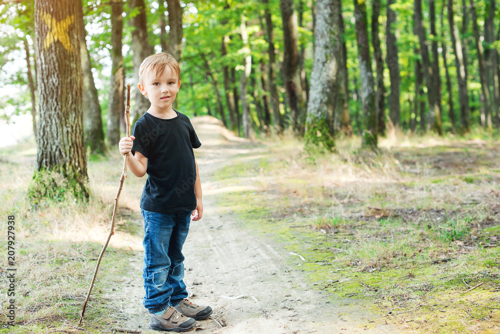 Little boy enjoy walk and have fun in forest at sunny day. Little boy enjoy walk and have fun in forest at sunny day.
