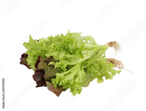 Mixed lettuce 2