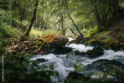 river and shaft beam of light. mountain river in the wood.