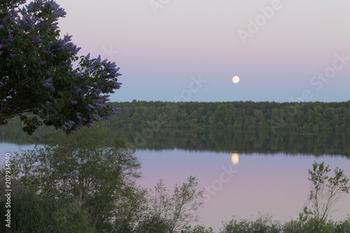 Beautiful calm nature in summer time before dawn, trees, river, forest and moon in the sky © Anatasia