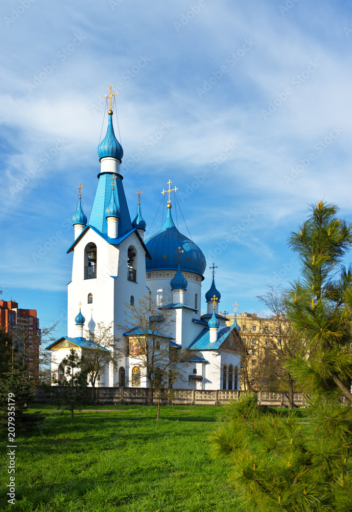 Saint Petersburg. View of the Church of the Nativity of Christ from Pulkovo Park in the spring