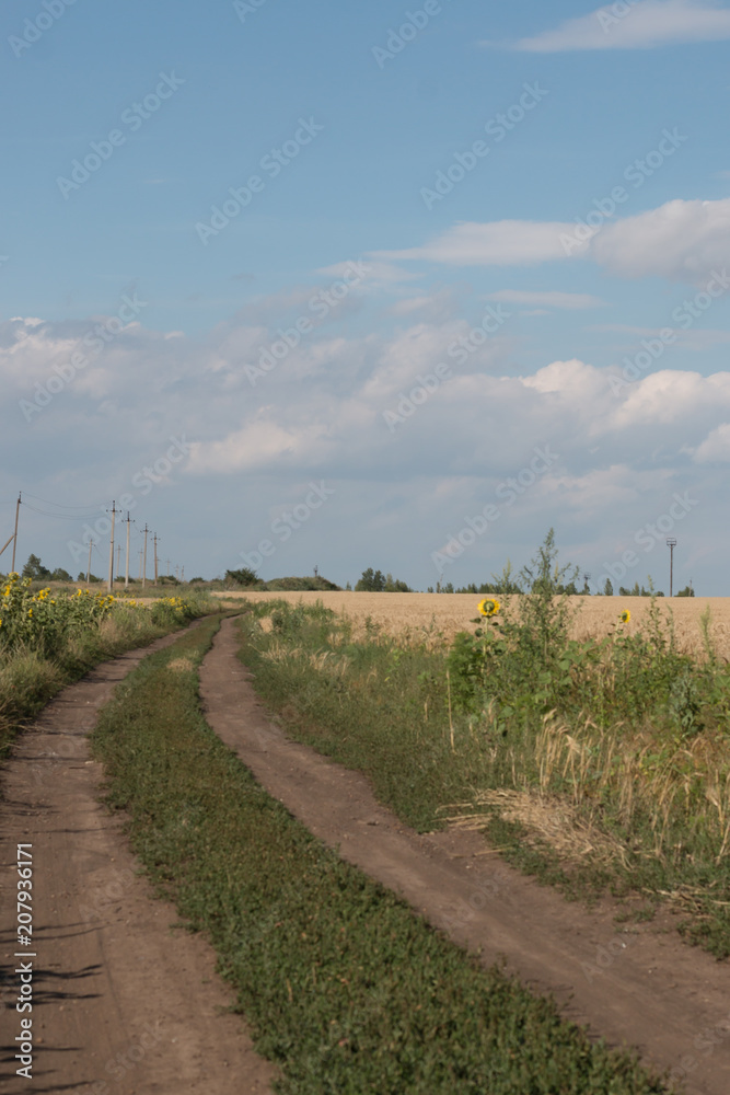 road to the wheat field