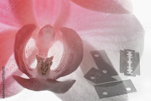 Stop Female Genital Mutilation Concept and Symbol photo