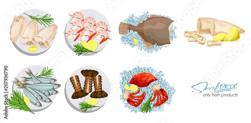 Seafood in cartoon style. Seafood platter set squid, cuttlefish, crab, shrimp, spiny lobster, flounder fish, sprat on ice cubes isolated on white background. Icons. Vector illustration