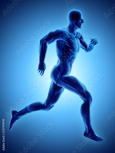 3d illustration male running pose with x-ray skeleton joint, medical concept.